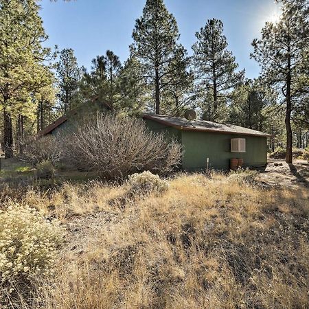 Family-Friendly Forested Home With Snow Play Area! Flagstaff Exteriér fotografie