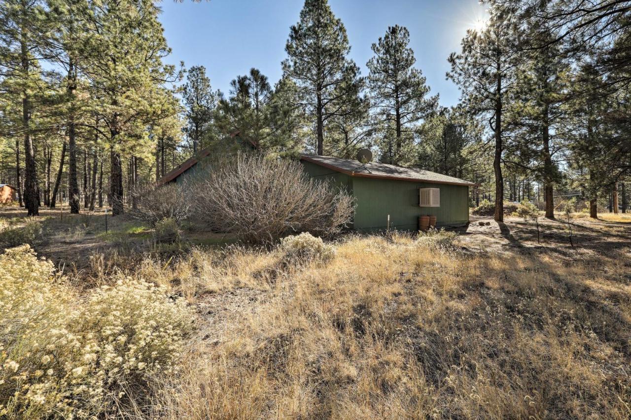 Family-Friendly Forested Home With Snow Play Area! Flagstaff Exteriér fotografie
