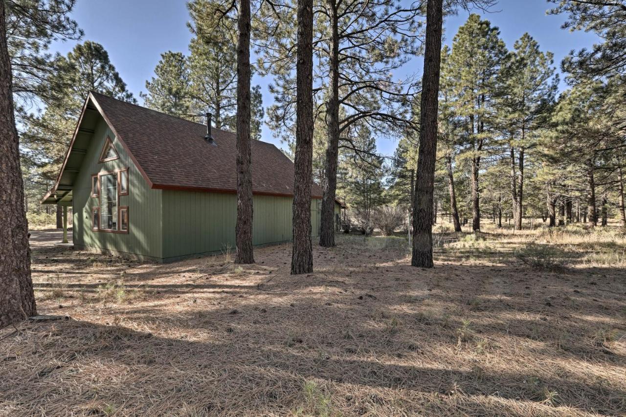 Family-Friendly Forested Home With Snow Play Area! Flagstaff Exteriér fotografie